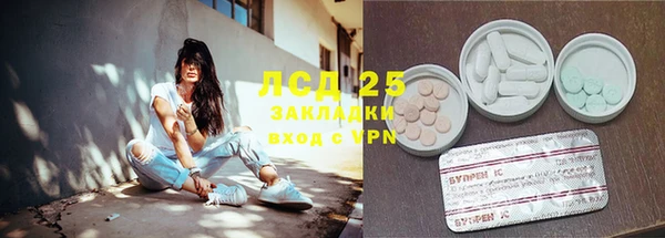 дживик Шадринск