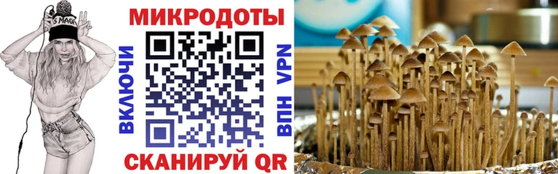 mega вход  Коломна  Галлюциногенные грибы Psilocybine cubensis 