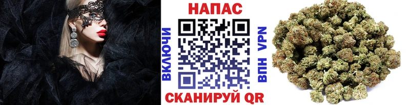 Шишки марихуана Amnesia  Коломна 