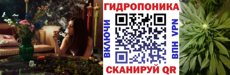 Шишки марихуана планчик Коломна